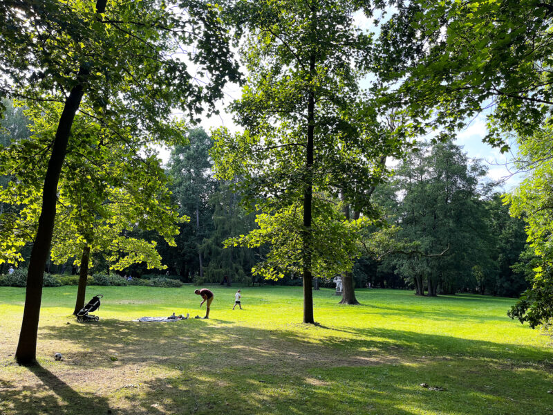 12 - Park Miejski