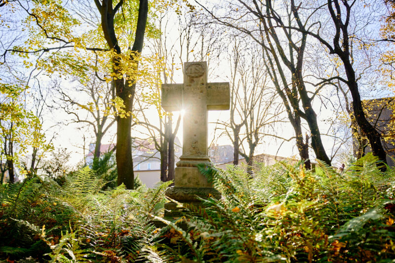 Cmentarz Zasłużonych Wielkopolan 812