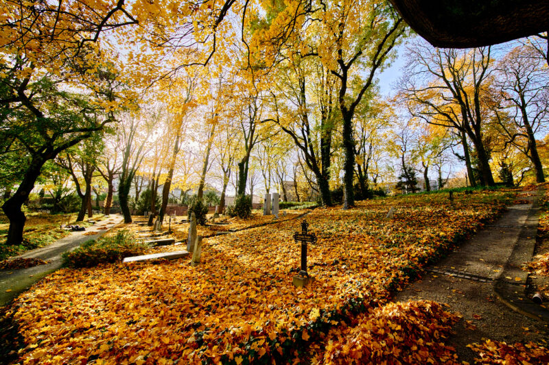 Cmentarz Zasłużonych Wielkopolan 834