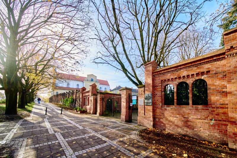 Cmentarz Zasłużonych Wielkopolan 847