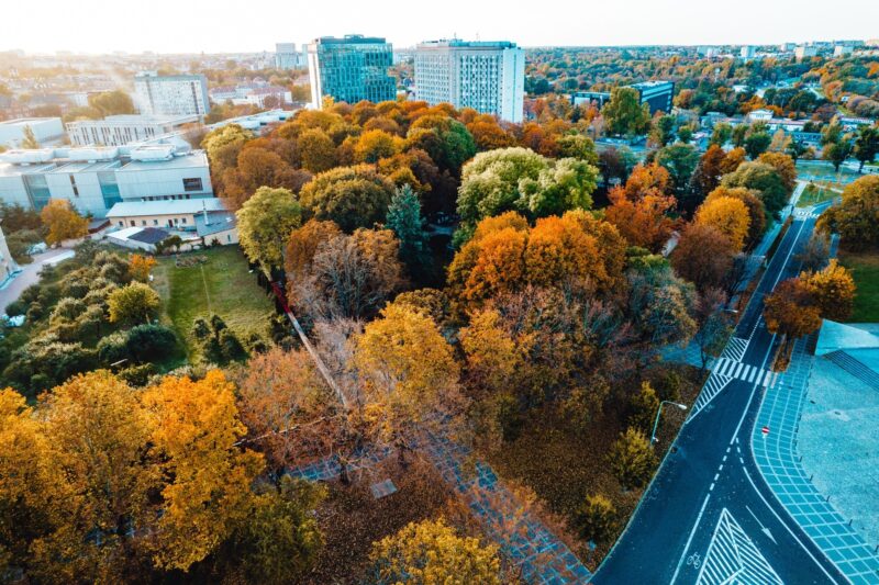 fuxhnjqgjtroilqovwrulg3fq1lwbnfiqs5zl1ef-alex-aender(2)